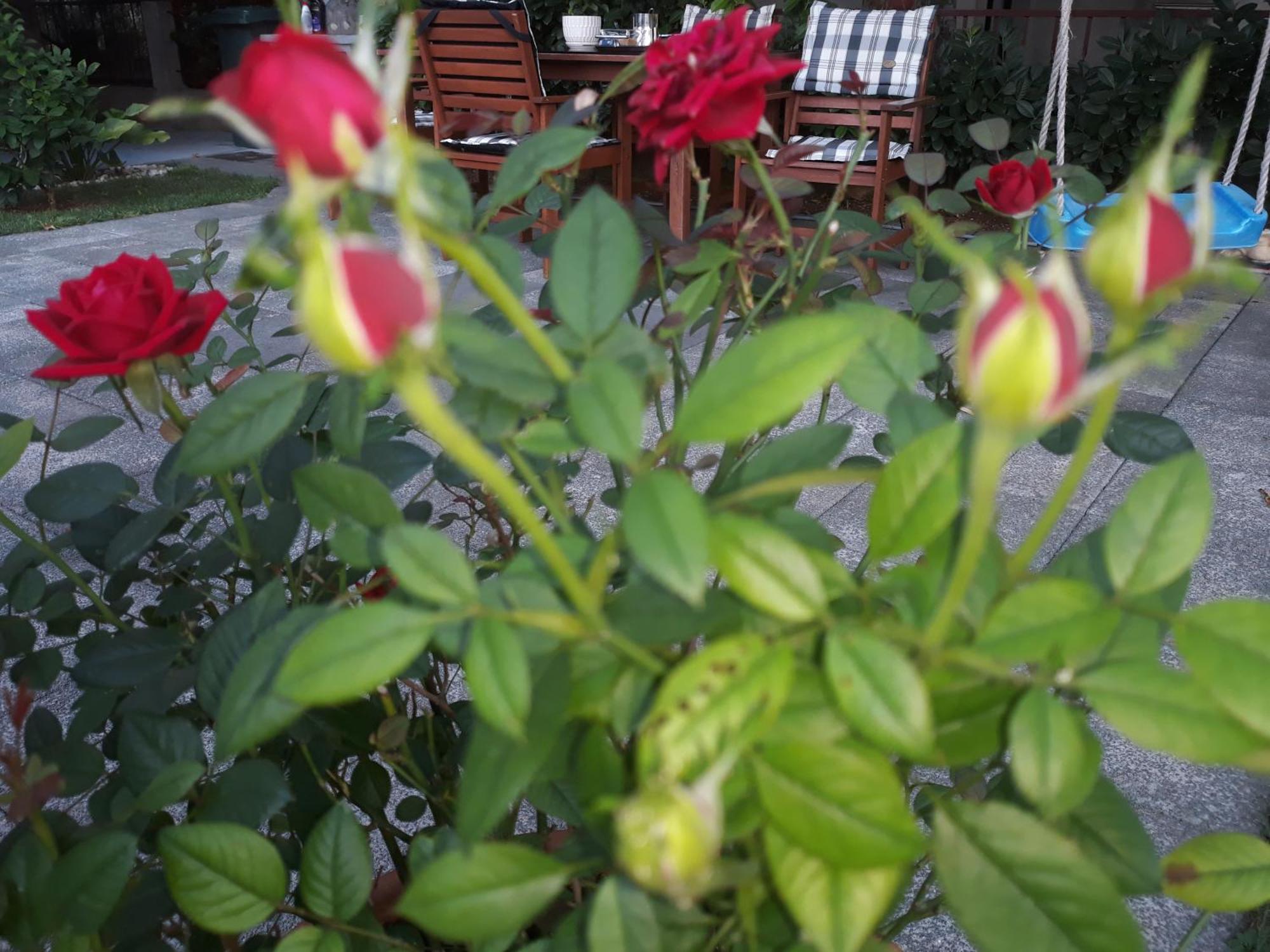Guest House No 13 Mostar Ngoại thất bức ảnh